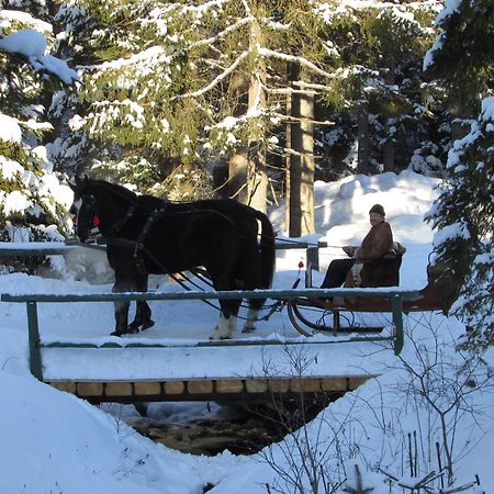 Koliba Ski Gruniky Sihelne Zewnętrze zdjęcie